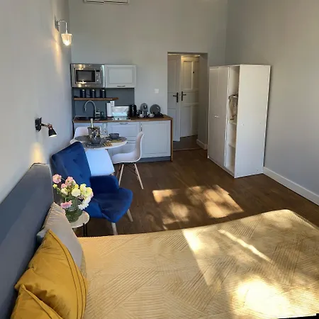 Alpari Wawel Apartment